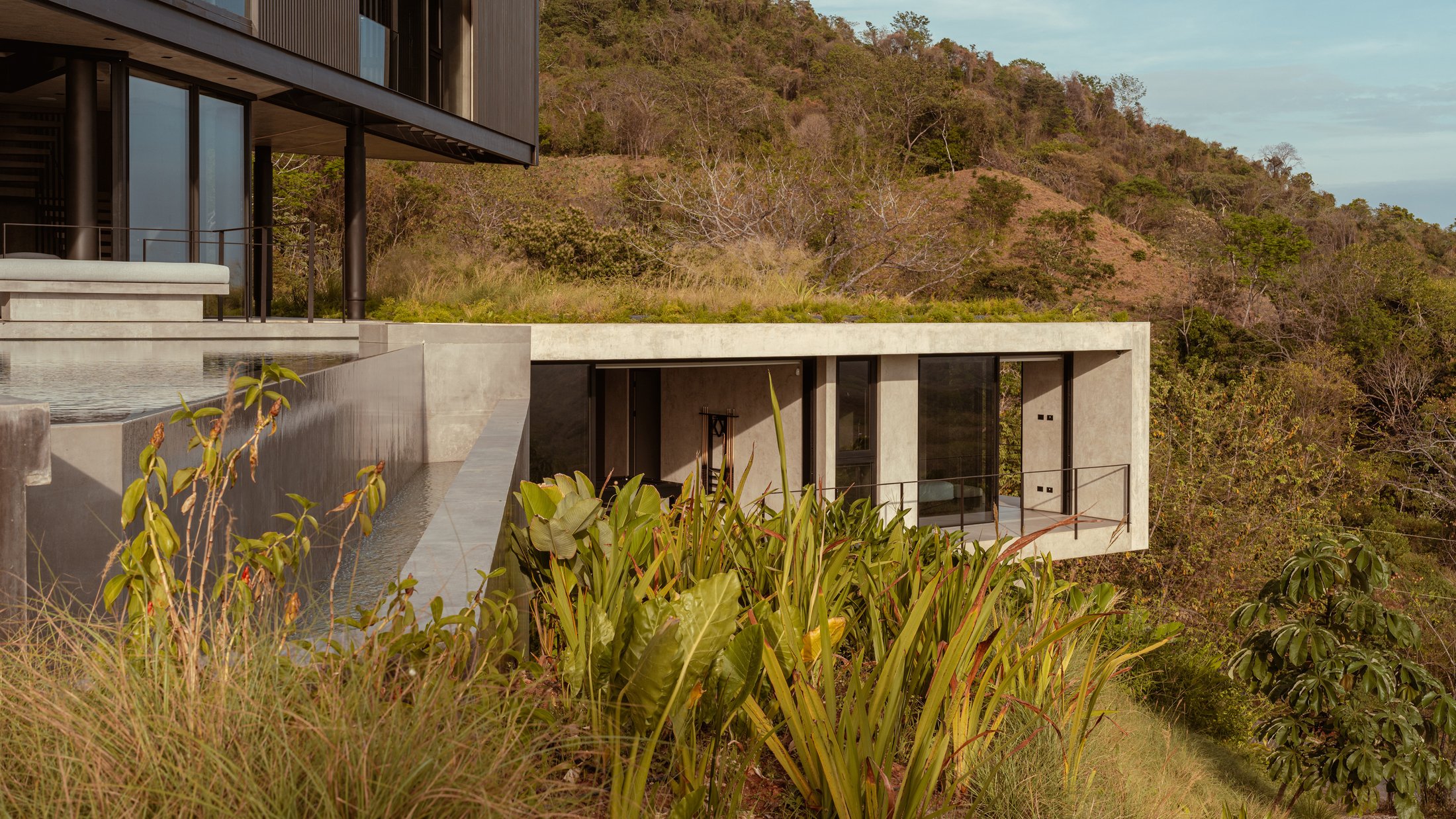 Detalle exterior de Casa Cinco 7 con techo verde y vegetacion nativa